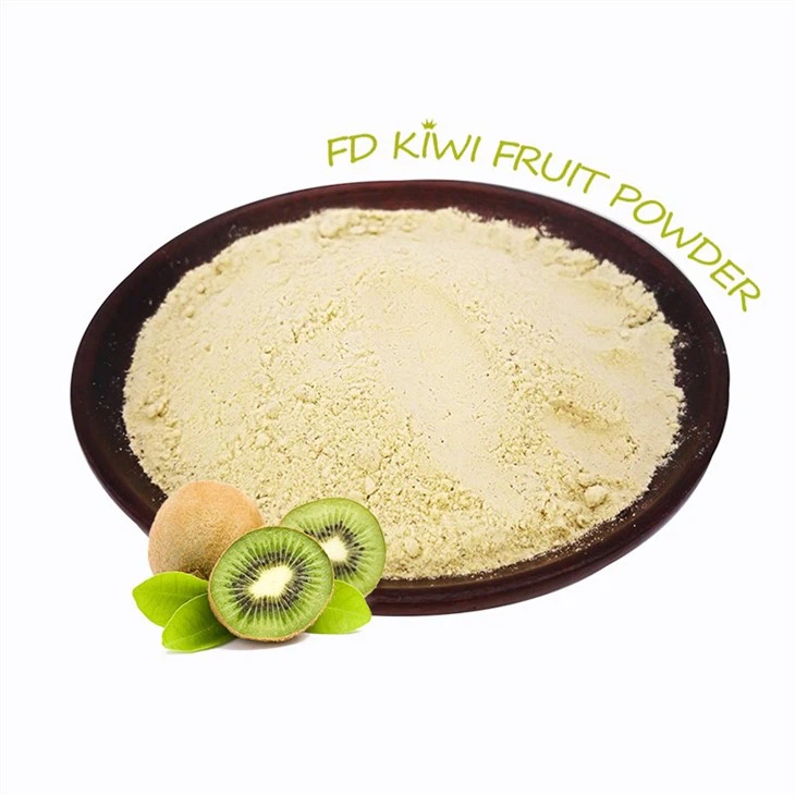 Freeze Dried Kiwi Slice