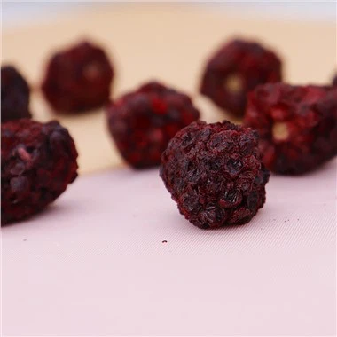 Liofilizuotas gervuogių kiekis